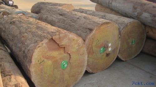 南洋胡桃木原木木方板材无单证进口木材非濒危证代理