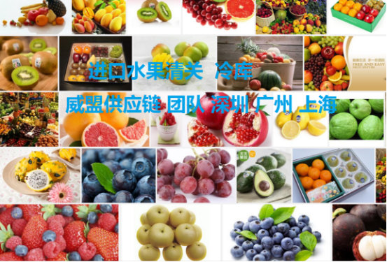 广州进口水果清关