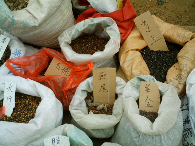 供应垂丝海棠种子，垂丝海棠种子的价格，垂丝海棠种子种植方法