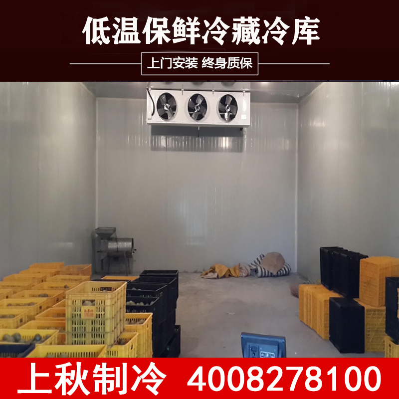 上海上秋安装冷库设备冷藏冷冻库板保温板造价制冷全套免费设计 冷库工程 冷库设备