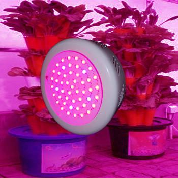 供应LED植物灯
