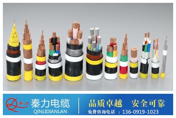 陕西电力电缆厂(