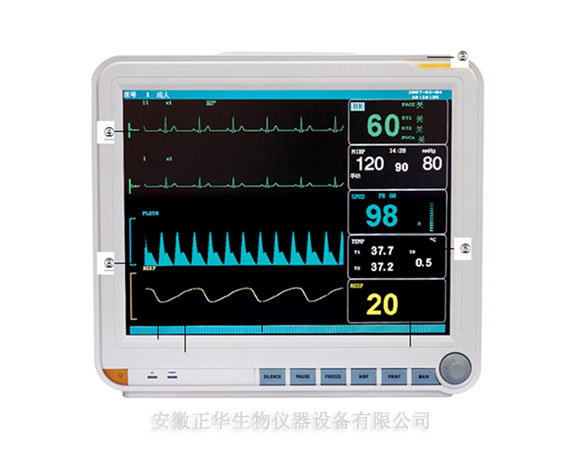ZH 多参数监护仪 大小鼠脉搏血氧呼吸监护仪 小动物多功能监护仪 供应商