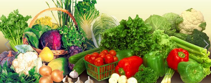 辽宁蔬菜批发大石桥市瑞丰绿色蔬菜种植有限公司专业种植