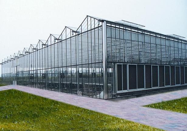 上海蔬菜温室玻璃