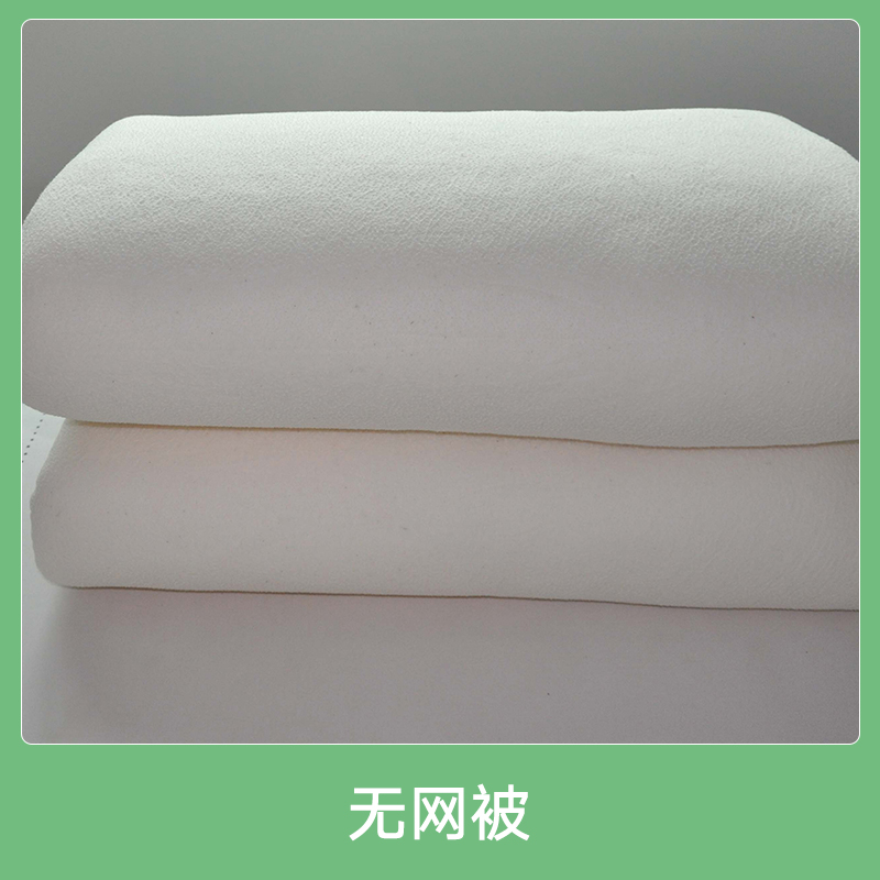 河北河北无网被产品 可按要求订做各种规格和重量棉花耐用舒适棉被