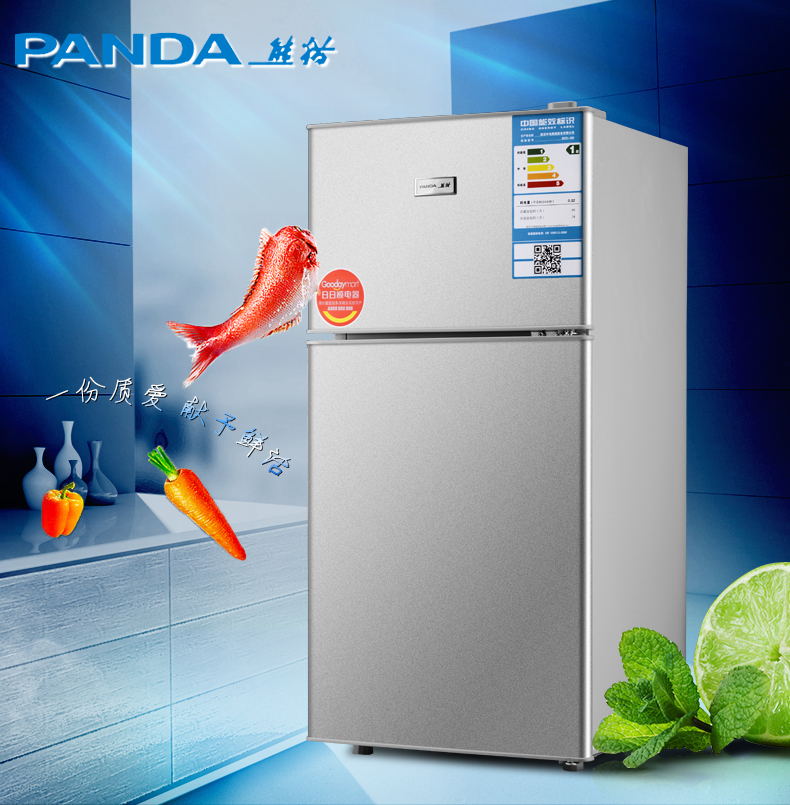 PANDA/熊猫BCD-102熊猫牌冰箱双门冰箱