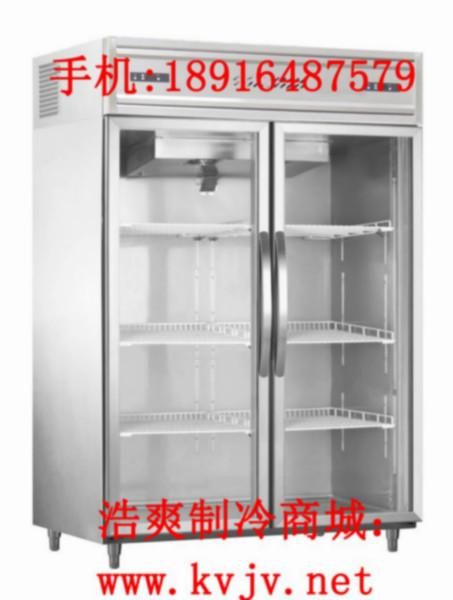 供应立式冷藏双门冰箱双门冰箱价格