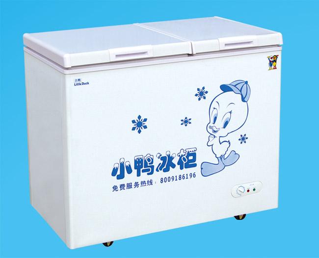 供应大冷冻小冷藏冰柜 大冷冻小冷藏 家用冰柜 冷柜BCD-167