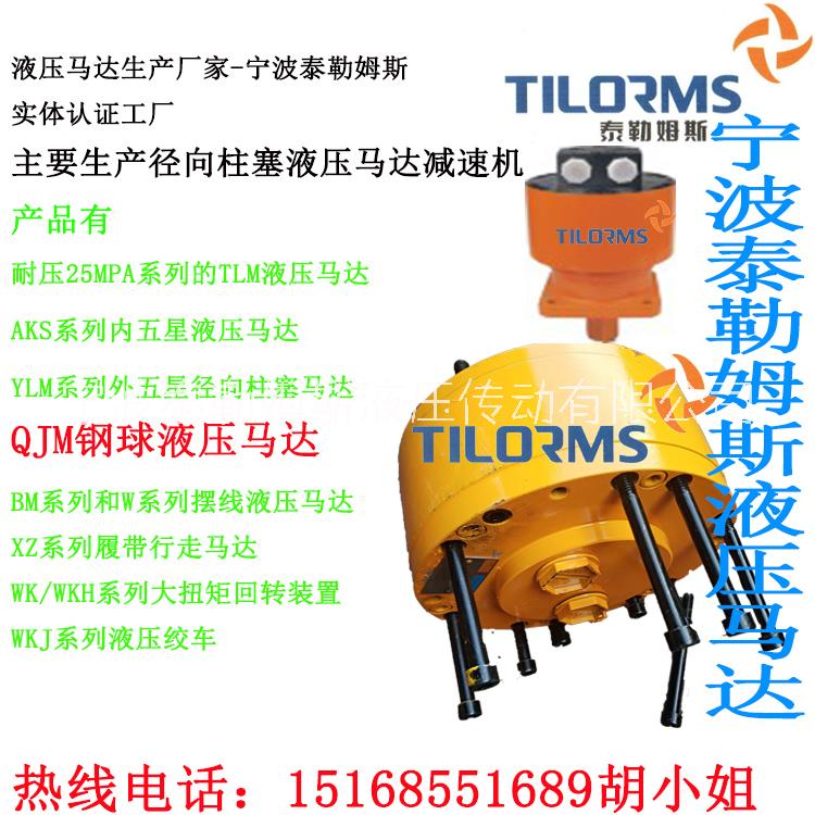 上海上海供应1QJM11-0.63液压马达标准液压马达技术参数 QJM液压马达标