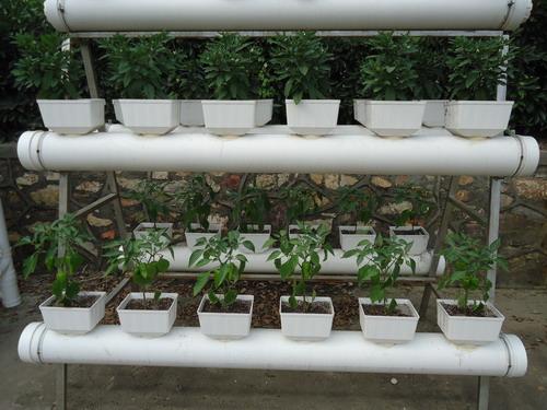 湖北武汉供应阳台有机蔬菜园阳台种菜设备设施