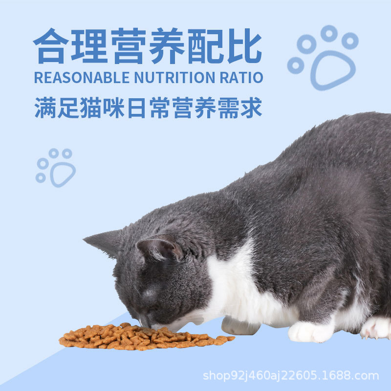 暹罗猫猫涨化粮批发 暹罗猫喜欢吃的猫粮 暹罗猫猫干粮