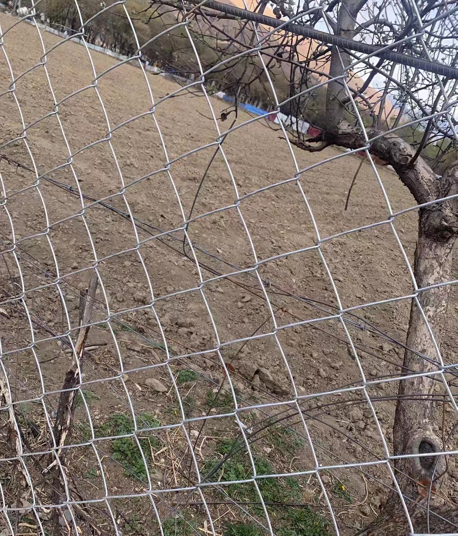 镀锌勾花网猪牛羊狗养殖网鱼塘防护网圈地用网围栏网果园护栏网