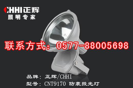 CNT9170A 大功率LED投光灯超大功率节能灯特点