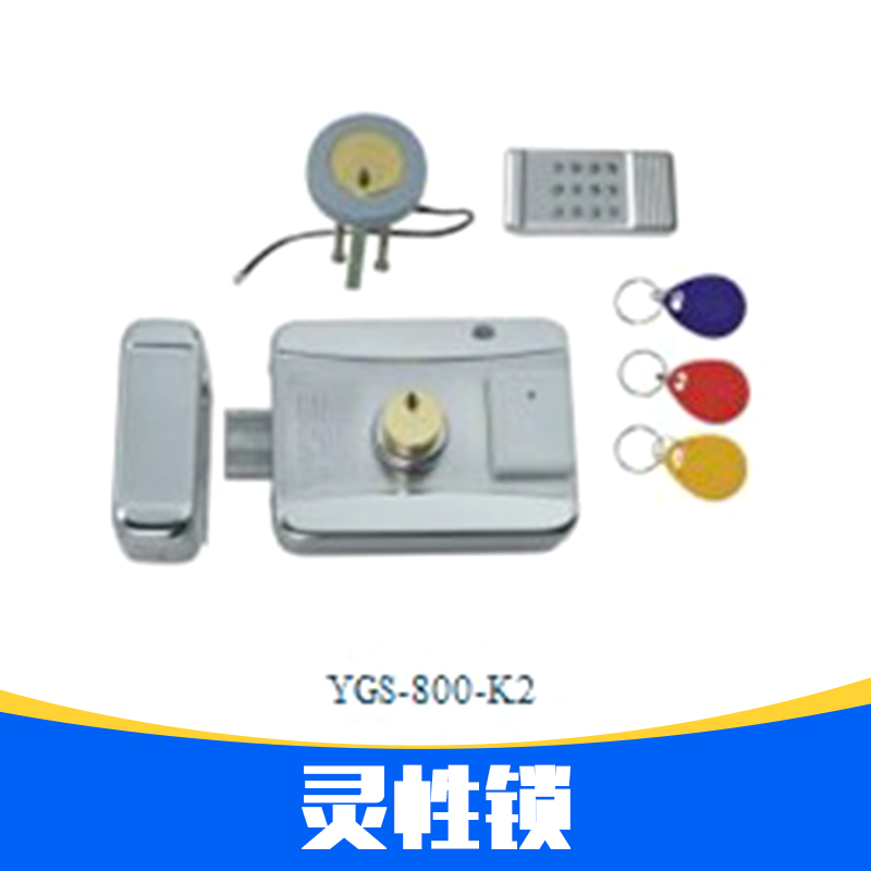 上海上海供应灵性锁产品 刷卡灵性锁 指纹锁 磁力锁 灵性锁厂家 灵性锁价格