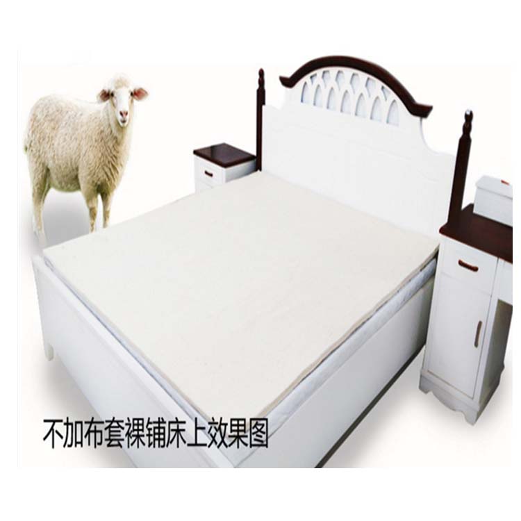 床毡羊毛毡床垫隔热炕毡防潮保暖床垫毛毡榻榻米地垫可定做尺寸