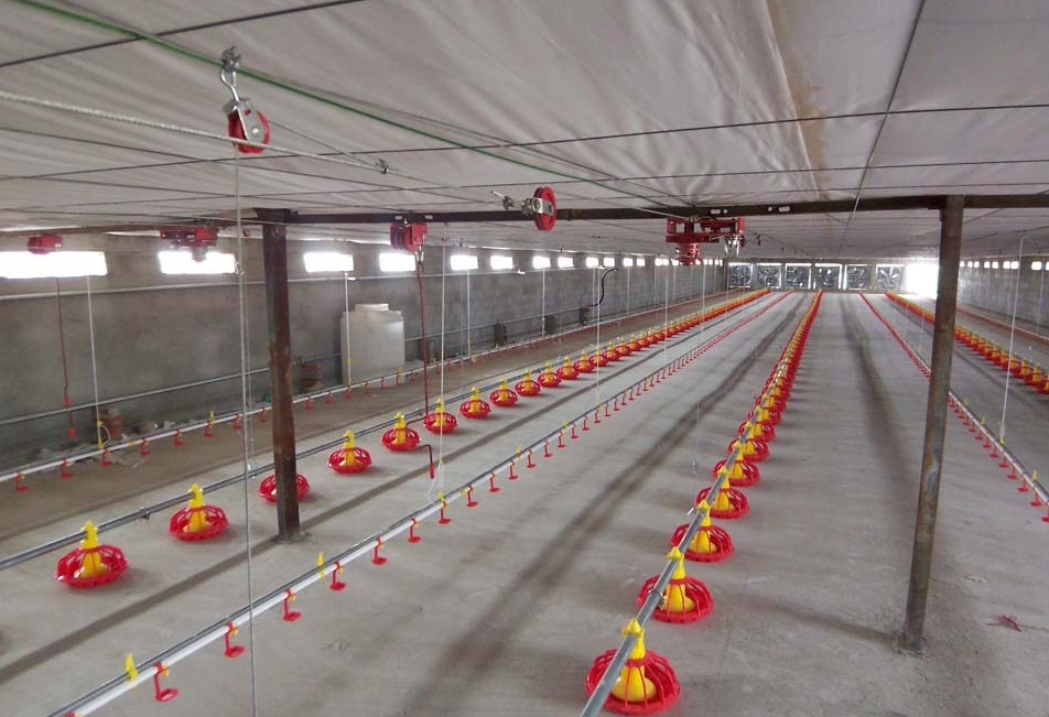 养鸡设备 全自动料线水线 肉鸡平养料盘式喂料线喂水线鸡养殖设备 水线料线