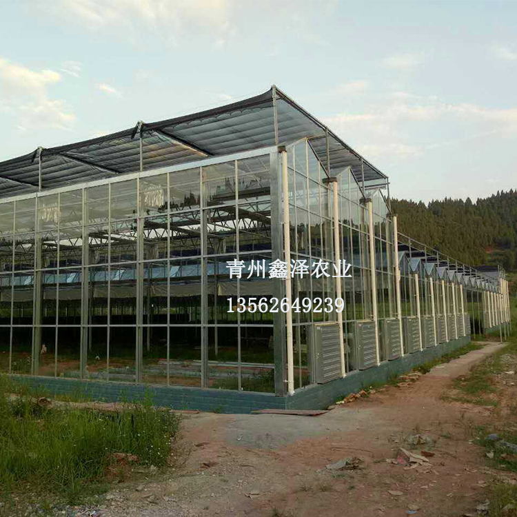 全自动玻璃温室大棚价格 无土栽培 钢化玻璃温室 钢化玻璃大棚建设 玻璃连栋温室 连栋温室铝合金